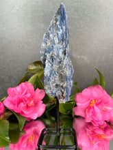 Load image into Gallery viewer, Stunning Kyanite Rough Stone On Fixed Stand
