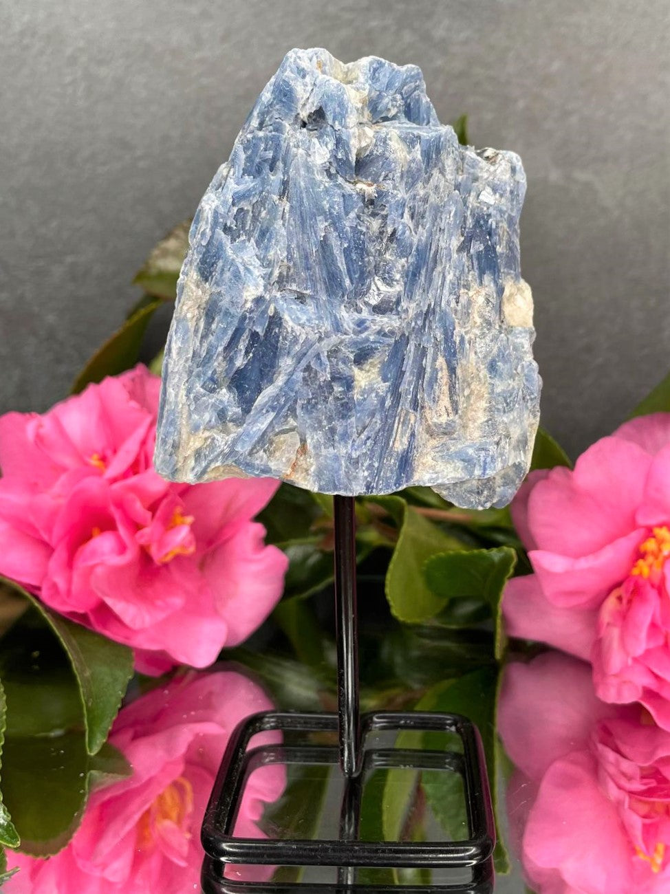Natural Kyanite Crystal Rough Stone On Fixed Stand