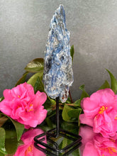 Load image into Gallery viewer, Stunning Kyanite Rough Stone On Fixed Stand

