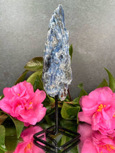 Load image into Gallery viewer, Stunning Kyanite Rough Stone On Fixed Stand