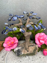 Load image into Gallery viewer, Sodalite Crystal Tree With Amethyst Cluster Base