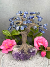 Load image into Gallery viewer, Sodalite Crystal Tree With Amethyst Cluster Base