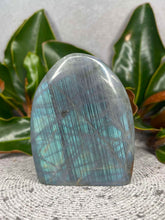 Load image into Gallery viewer, Discounted Labradorite Crystal Freeform With Flash