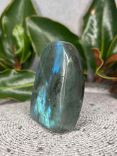 Load image into Gallery viewer, Labradorite Crystal Freeform With Flash