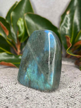 Load image into Gallery viewer, Labradorite Crystal Freeform With Flash