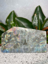 Load image into Gallery viewer, Labradorite Crystal Freeform With Colorful Flash