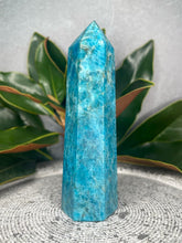 Load image into Gallery viewer, Insight Apatite Crystal Tower Point