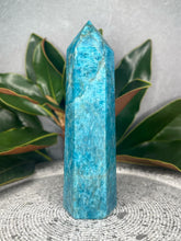 Load image into Gallery viewer, Insight Apatite Crystal Tower Point