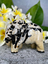 Load image into Gallery viewer, DISCOUNTED Picture Stone Jasper Crystal Elephant Carving