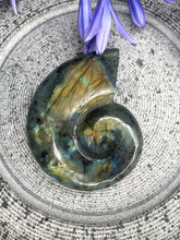 Load image into Gallery viewer, Discounted Labradorite Crystal Nautilus Shell Carving