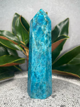 Load image into Gallery viewer, Insight Apatite Crystal Tower Point
