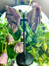 Load image into Gallery viewer, Breathtaking Mini Fluorite Crystal Butterfly Wings