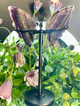 Load image into Gallery viewer, Breathtaking Mini Fluorite Crystal Butterfly Wings