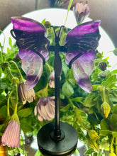 Load image into Gallery viewer, Pretty Mini Fluorite Crystal Butterfly Wings With Stand
