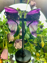 Load image into Gallery viewer, Pretty Mini Fluorite Crystal Butterfly Wings With Stand
