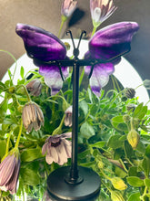Load image into Gallery viewer, Pretty Mini Fluorite Crystal Butterfly Wings With Stand