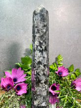 Load image into Gallery viewer, Wisdom Larvikite Crystal Tower Point