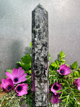 Load image into Gallery viewer, Wisdom Larvikite Crystal Tower Point