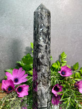 Load image into Gallery viewer, Wisdom Larvikite Crystal Tower Point