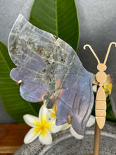 Load image into Gallery viewer, Labradorite Crystal Butterfly Wings Violet Flash