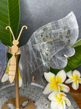 Load image into Gallery viewer, Labradorite Crystal Butterfly Wings Violet Flash
