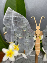 Load image into Gallery viewer, Stunning Labradorite Crystal Butterfly Wings Violet Flash