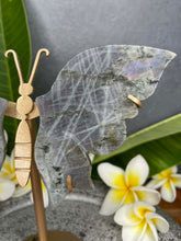 Load image into Gallery viewer, Breathtaking Labradorite Crystal Butterfly Wings Violet Flash