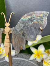 Load image into Gallery viewer, Labradorite Crystal Butterfly Wings Orange Purple Flash