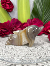 Load image into Gallery viewer, Agate Quartz Druzy Dolphin Crystal Carving