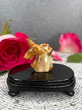 Load image into Gallery viewer, Mexican Crazy Lace Agate Unicorn Crystal Carving