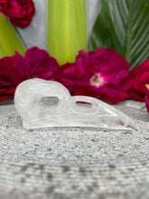 Load image into Gallery viewer, Clear Quartz Crow Skull Crystal Carving