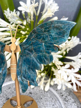 Load image into Gallery viewer, Beautiful Blue Apatite Crystal Butterfly Wings On Gold Stand