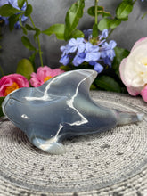 Load image into Gallery viewer, Mesmerizing Banding Orca Agate Crystal Dolphin Carving