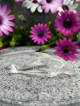 Load image into Gallery viewer, Pretty Clear Quartz Dolphin Crystal Carving