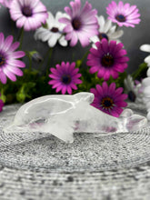 Load image into Gallery viewer, Clear Quartz Dolphin Crystal Carving