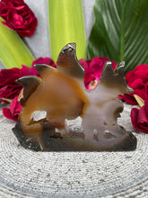 Load image into Gallery viewer, Druzy Agate Nine-Tail Fox Crystal Carving