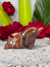 Load image into Gallery viewer, Stunning Red Agate Dolphin Crystal Carving