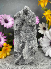 Load image into Gallery viewer, Stunning Chrysanthemum Quartz Crystal Tower Point