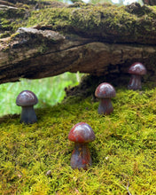 Load image into Gallery viewer, Ocean Jasper Crystal Mushroom