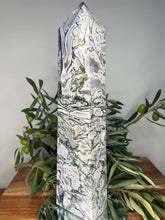 Load image into Gallery viewer, Stunning XXL Natural Moss Agate Crystal Druzy Geode Tower Column