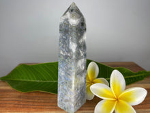 Load image into Gallery viewer, Moss Agate With Blue Banding Crystal Point Tower
