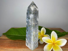 Load image into Gallery viewer, Moss Agate With Blue Banding Crystal Point Tower