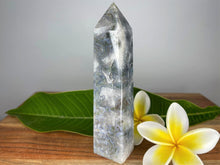 Load image into Gallery viewer, Moss Agate With Blue Banding Crystal Point Tower