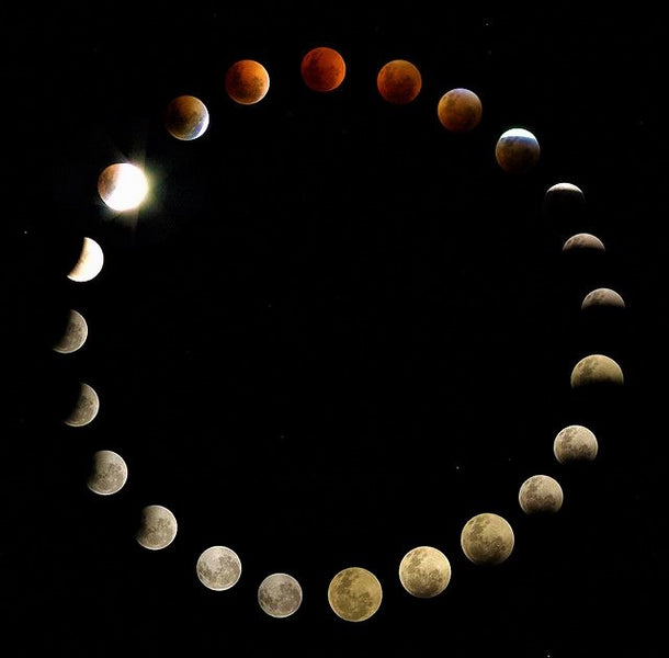 EIGHT MOON PHASES