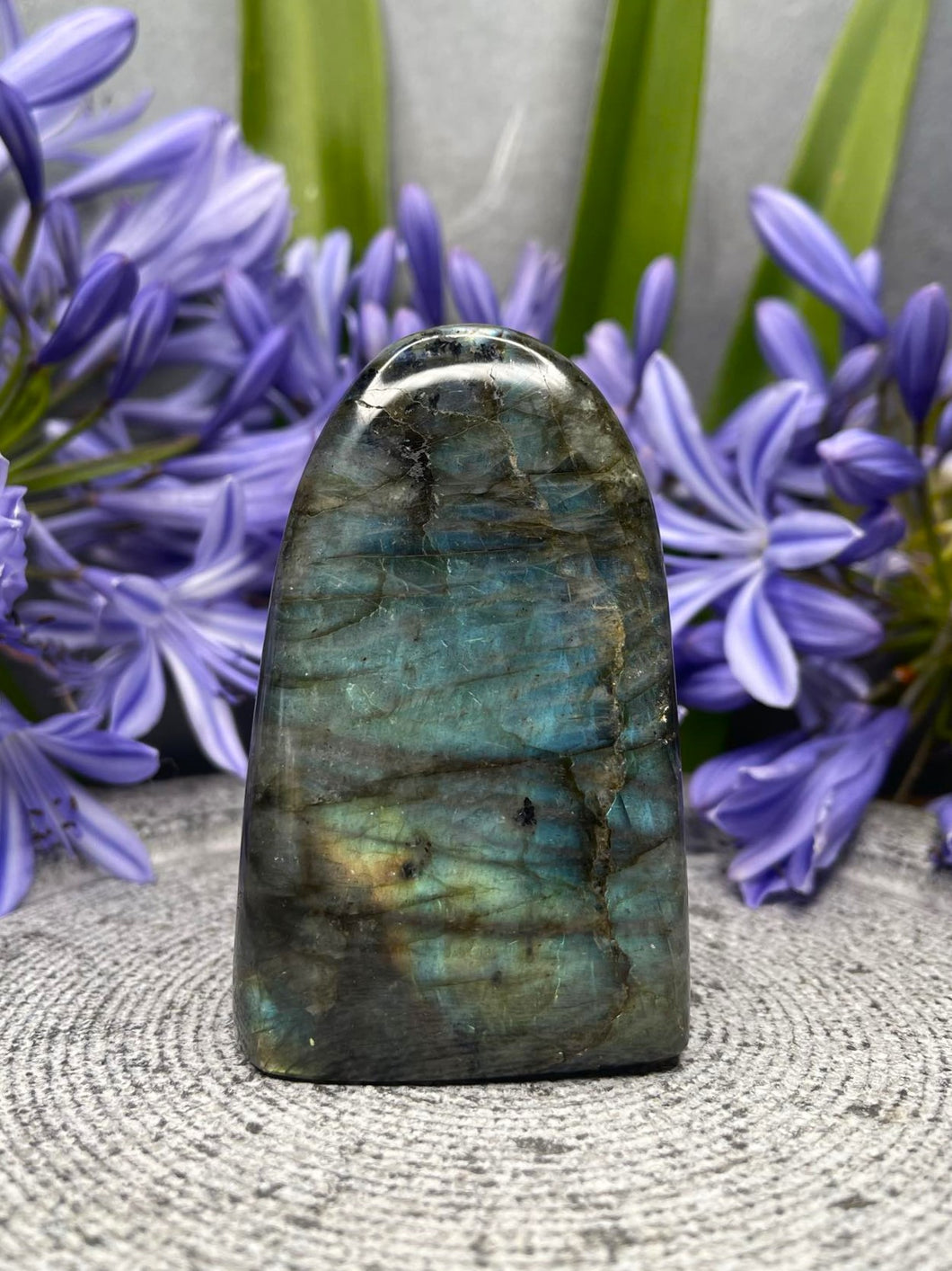 Stunning Labradorite Crystal Freeform With Rainbow Flash