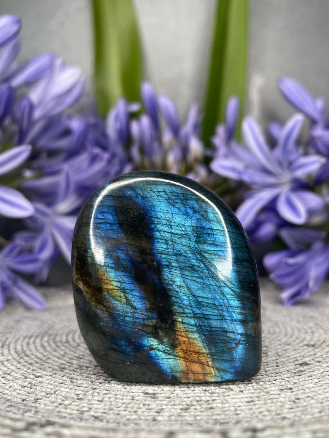 Natural Labradorite Crystal Freeform With Blue Flash