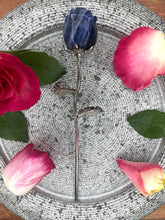 Load image into Gallery viewer, Stunning Sodalite Rose Crystal Carving With Silver Stem
