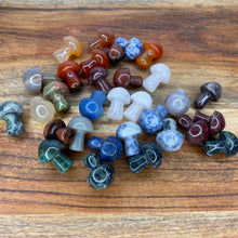 Load image into Gallery viewer, Mini Crystal Mushroom Carving 1pc Intuitively chosen
