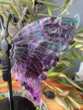 Load image into Gallery viewer, Stunning Natural Fluorite Crystal Butterfly Wings
