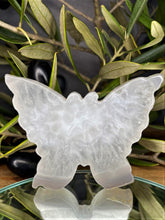 Load image into Gallery viewer, Agate Butterfly Carving With Sparkling Druzy
